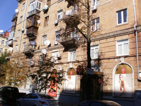 Вид на дом Дарвина, 1