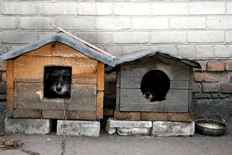 nalog na nedvizhimost'